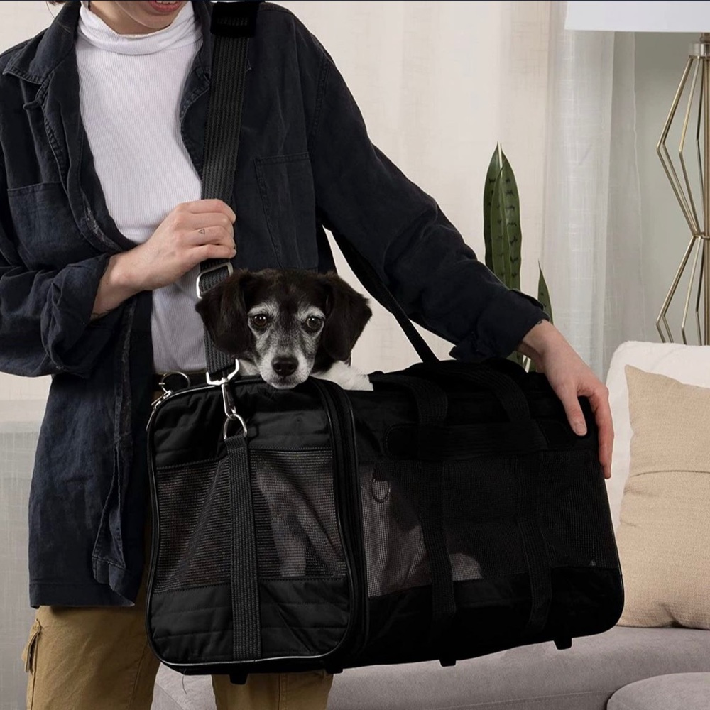 Pet Carrier